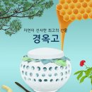 홍범한의원 이미지