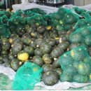 다복횟집 이미지