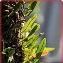 큰물한의원 이미지