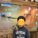 삼막7 | 안양 아이와 가볼 만한 곳 삼막창고 파충류 체험 후기