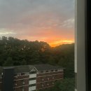 법원삼거리 빽다방 앞 | 인생은 각자의 무게로 버겁지만