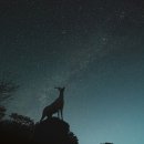 제주의별밤 이미지