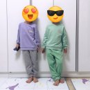 폴햄AK