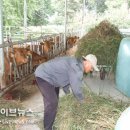 만나한우농장 이미지