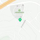 프라임킴 프렌치 불독 네이버블로그