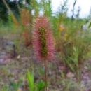 참샘골농장 이미지