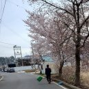 옥천1리 이미지