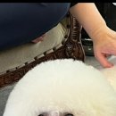 오늘 더 예쁘개 이미지