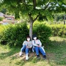 해든솔직업지원센터 이미지