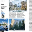 1551 | 요세미티 투어 당일 일박 비교 요셈투어 할인 후기 코스 추천