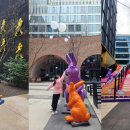 인형의 거리(토끼) | [일기] 느린 스위스 여행 일기 Day1 - 바르샤바에서 만난 부활절 토끼와 인형의 집