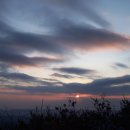 기축년 비학산 해맞이 산행 이미지