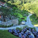 수목원캠핑장 이미지