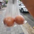 CU과기대학생회관점 | 카우룽카우룽🍂🪵