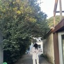 진선목장 이미지