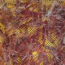 고성수산횟집 이미지