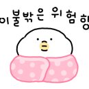 스테이은신희
