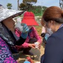 천의1리 이미지