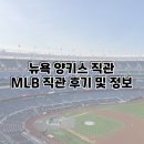 양키핫도그 | [뉴욕 양키스 직관] 꿈인가 현실인가? 덕아웃 아닌 '진짜' 양키스타디움 영접 후기