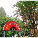 일산쭈꾸미 이미지