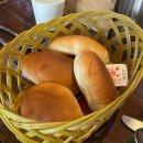 추나인한의원 | [일상] 광화문 무교동 직장인 점심 카페 기록