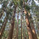 장성사랑공인중개사사무소 이미지