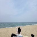 닭강정@탕수육 | [강릉 맛집/강릉감자닭강정] 강릉에서 꼭 먹어봐야 할 감자닭강정 내돈내산 후기