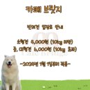 벤지동물병원 | 대형견 입장 가능한 수원 대형견 애견카페/우만동 애견카페 카페 브릿지
