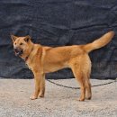 무지개훈련소 이미지