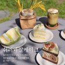 지내고탄로 | 춘천대형카페 쉬러와 쌀케이크 애견동반 가능한 신북읍 카페