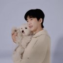 개구쟁이 이미지