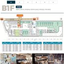 메이플(생활형) 이미지
