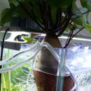 어항 세탁소 이미지