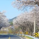 인정공인중개사사무소 이미지