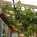 속리산계곡펜션 이미지