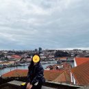 포르투 신혼여행 #2일차 - 파브리카 다 나타, 나타스 도우로, 모루정원, 임퍼 플로어레스(Impar Flores...