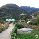 가천다랭이마을 이미지