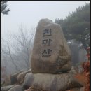 양산천변 Daum카페