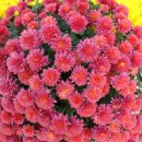 충렬지구대 이미지