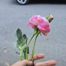 해나키즈풀빌라2 이미지