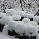 비방