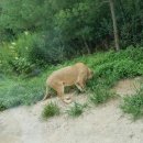 시티즌랜드 이미지