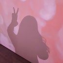 로하ROHA | 다이슨 에어랩 컴플리트 1달 사용 후기✨
