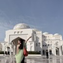 궁차이 | 아부다비 여행 대통령궁 복장과 입장료 내부 후기