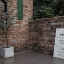 동행 공간 나누기 | [부산] 송정 오션뷰 카페 수월경화 방문 후기｜해변열차 보이는 티카페 추천