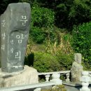 장군석 이미지