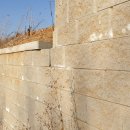 나무와숲어린이집 이미지