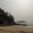 띠섬목가든