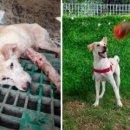 똘이농장 이미지