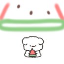 고성김밥 네이버블로그